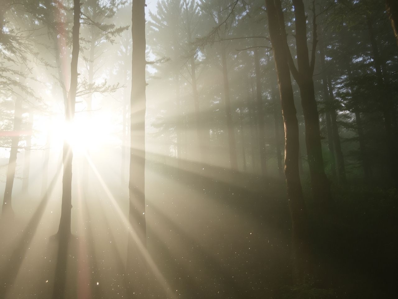 A Tyndall-szóródás teszi kékessé az ég alját alkonyatkor.