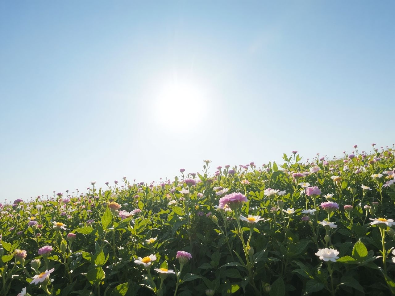 Az UV-sugárzás segíti a D-vitamin természetes termelődését.